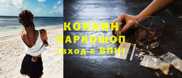 шишки Алзамай