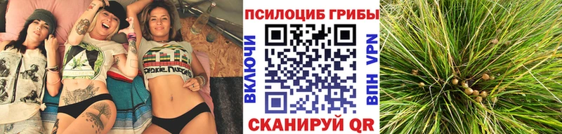 Псилоцибиновые грибы мухоморы  Тольятти 
