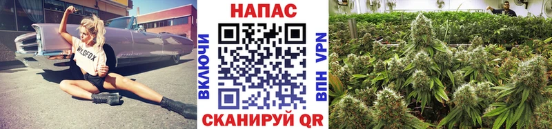 Конопля White Widow  купить наркотики цена  Тольятти 
